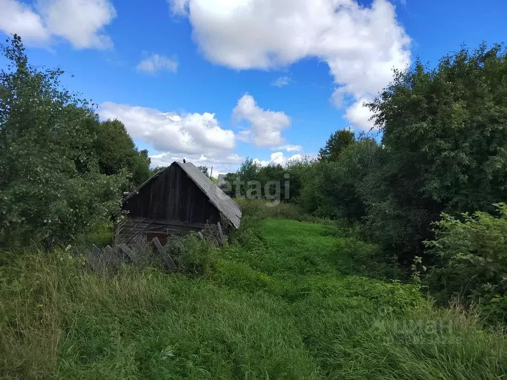 Дом в Амурская область, Свободный Перская ул., 72 (41 м) - Фото 2
