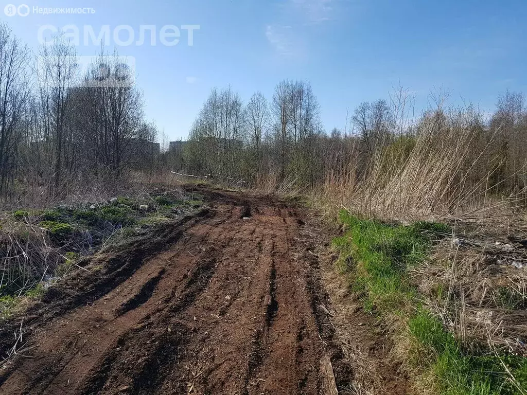 Участок в Архангельск, микрорайон Маймаксанский лесной порт (10 м) - Фото 2