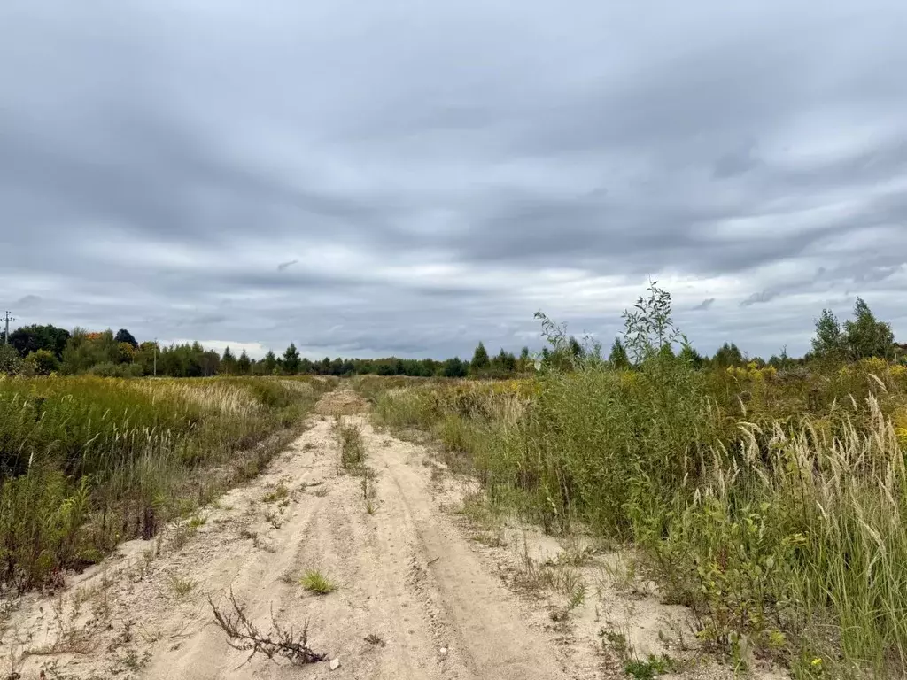 Участок в Калужская область, Калуга городской округ, д. Тинино ул. ... - Фото 1