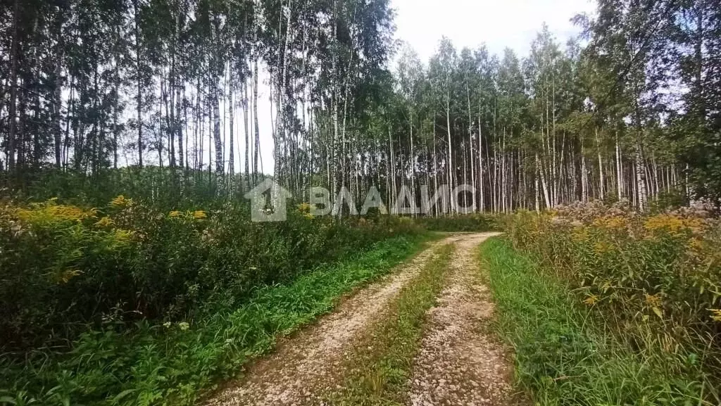 Участок в Владимирская область, Владимир ул. Селецкий Вал (7.17 сот.) - Фото 0