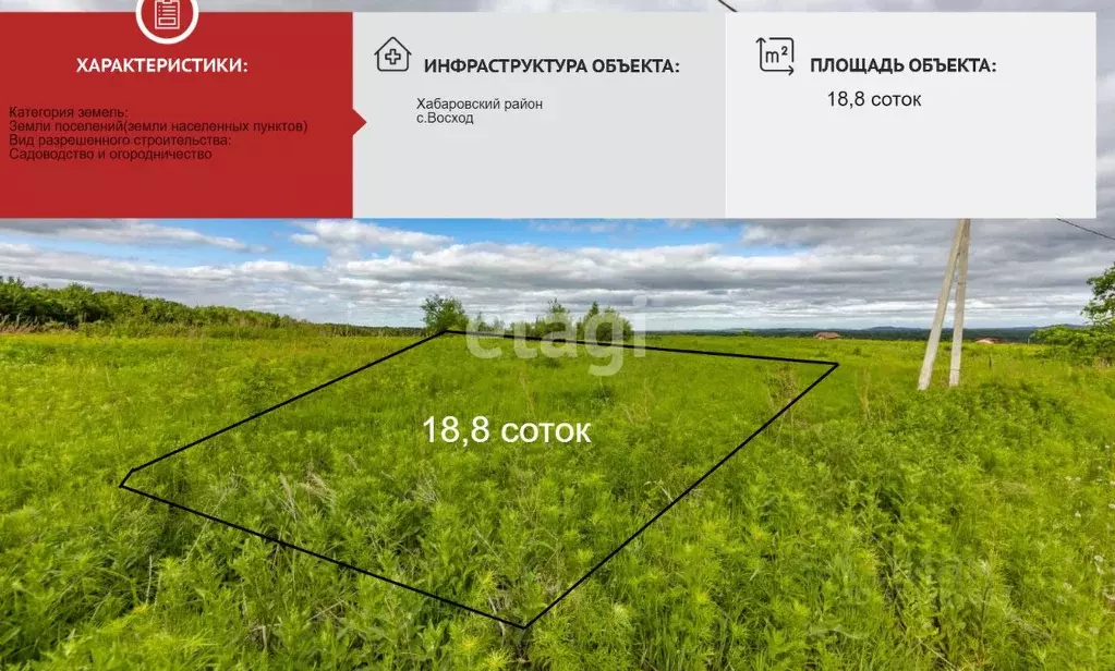 Участок в Хабаровский край, Хабаровский район, Осиновореченское с/пос, ... - Фото 1