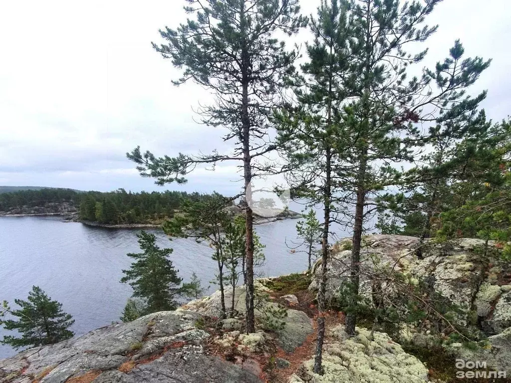 Дом в Карелия, Лахденпохья Полевая ул., 20 (52 м) - Фото 0