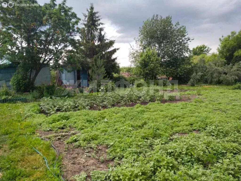 Участок в село Криводановка, Криводановские дачи, Опаловая улица (9 м) - Фото 0