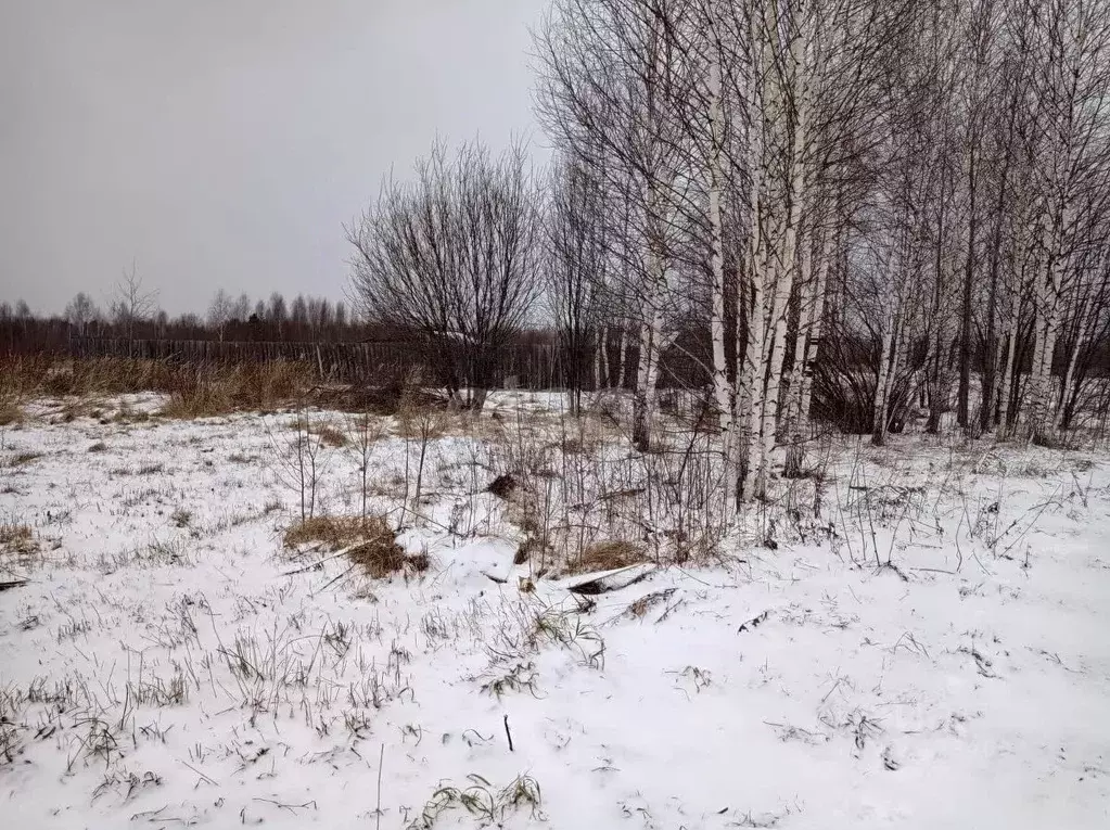 Участок в Свердловская область, Нижний Тагил Ольховский СТ,  (12.6 ... - Фото 1