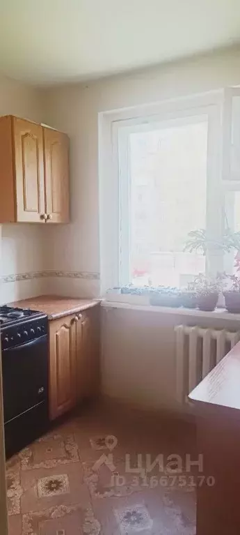 2-к кв. Орловская область, Орел Октябрьская ул., 59 (46.6 м) - Фото 1