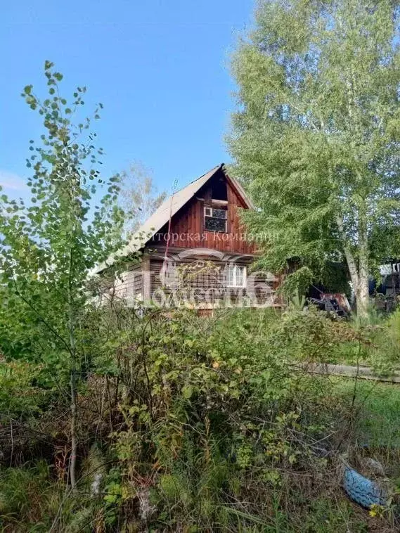 Дом в Иркутская область, Иркутский муниципальный округ, Океан СНТ 104 ... - Фото 0