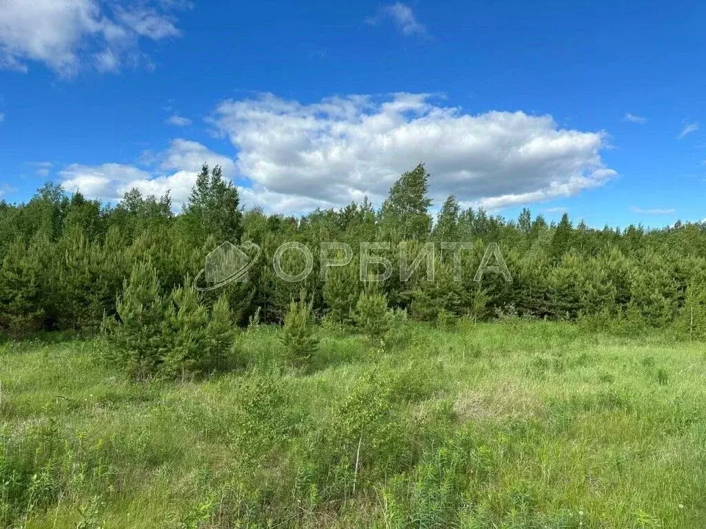 Участок в Тюменская область, Нижнетавдинский муниципальный округ, д. ... - Фото 2