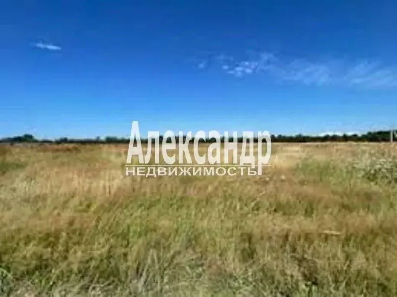 Участок в Ленинградская область, Волосовский район, Большеврудское ... - Фото 2