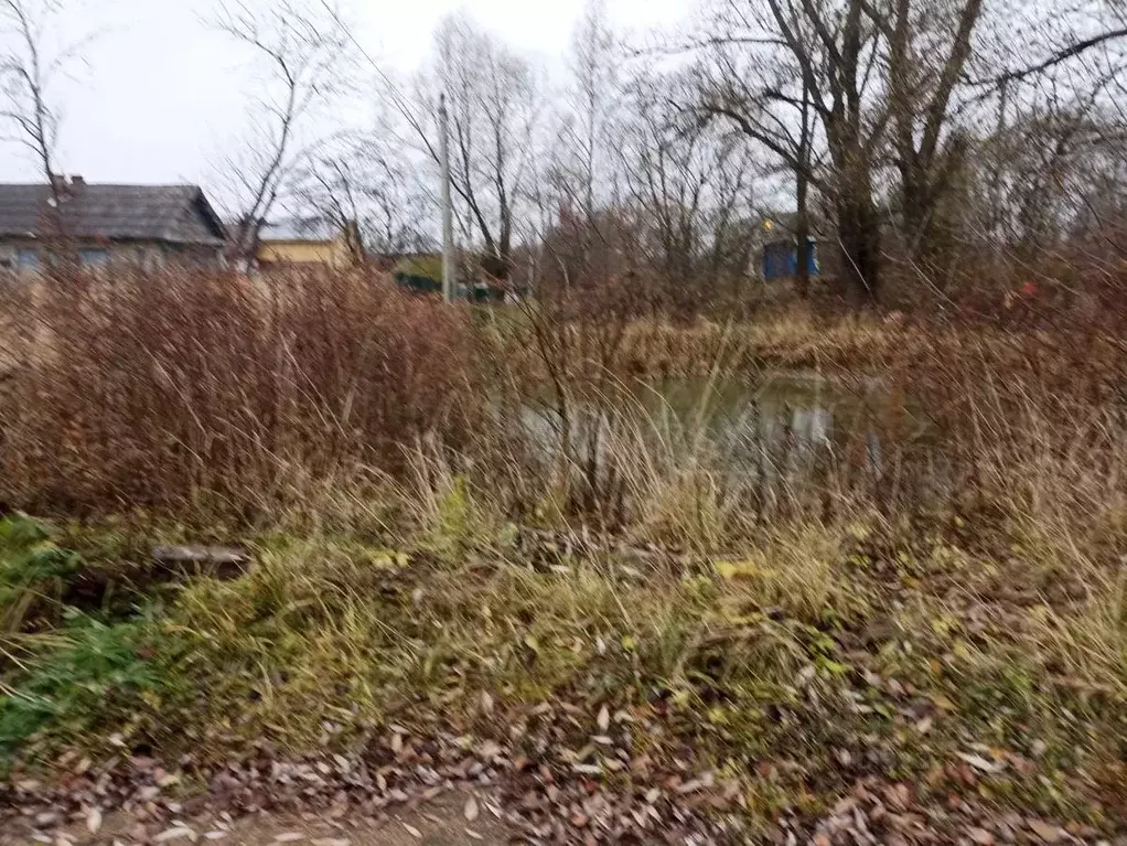 Участок в Ярославская область, Ярославский муниципальный округ, пос. ... - Фото 2