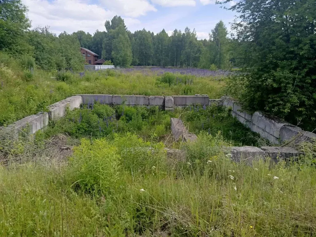 Участок в Нижегородская область, Бор муниципальный округ, с. Городищи  ... - Фото 1