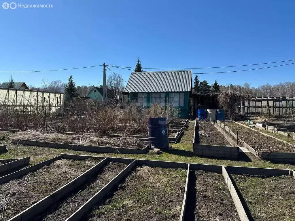 Участок в Новосибирск, садовое товарищество Олимпийское (5.7 м) - Фото 1
