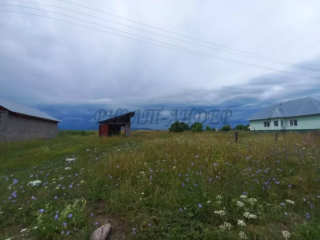 Участок в Алтайский край, Советский район, с. Платово Молодежная ул., ... - Фото 1