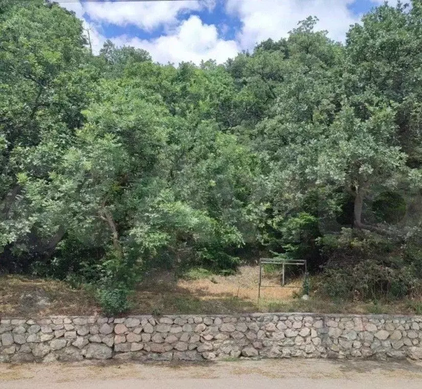 Участок в Крым, Алупка ул. Нагорная, 15 (10.0 сот.) - Фото 1