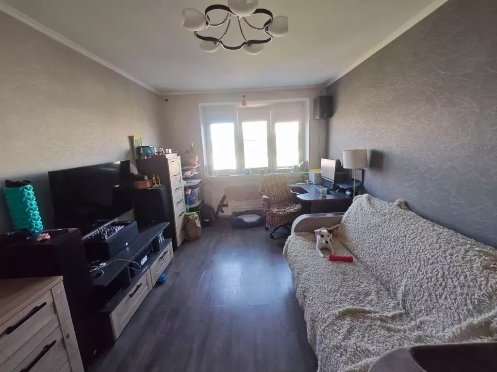 1-к кв. Санкт-Петербург просп. Культуры, 21К1 (33.1 м) - Фото 1
