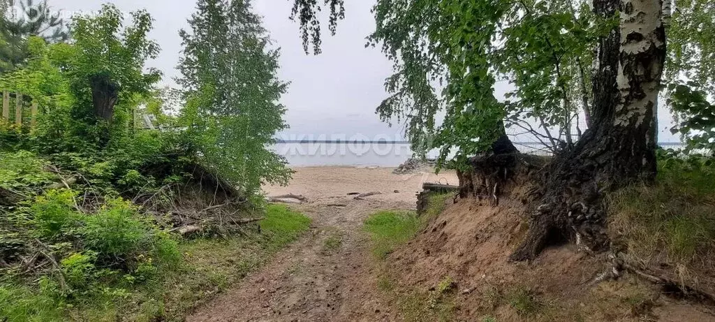 Участок в село Нижнекаменка, Береговая улица (10 м) - Фото 1