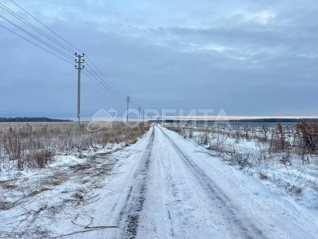 Участок в Тюменская область, Тюменский район, с. Горьковка  (200.0 ... - Фото 0