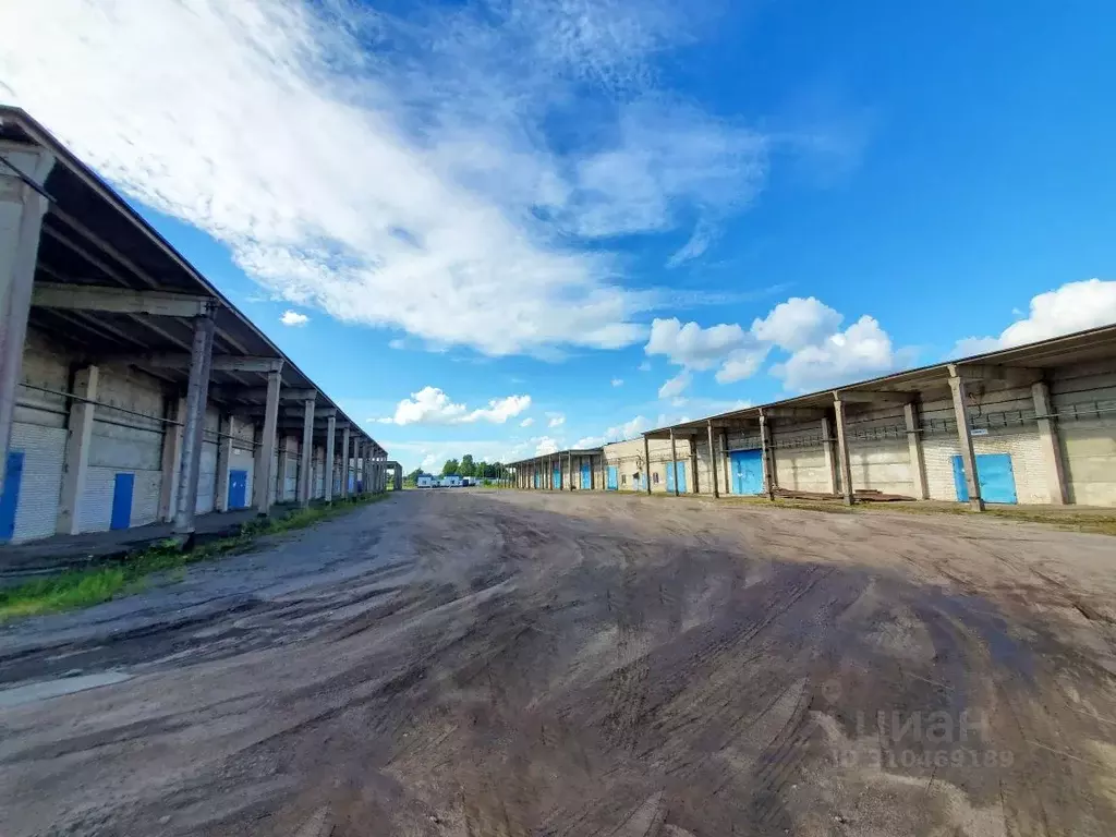 Склад в Ленинградская область, Волосово ул. Усадьба ВИЗ (20687 м) - Фото 0