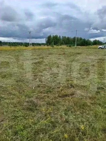 Участок в Костромская область, Кострома Соколиное Гнездо кп, 1 (10.5 ... - Фото 2