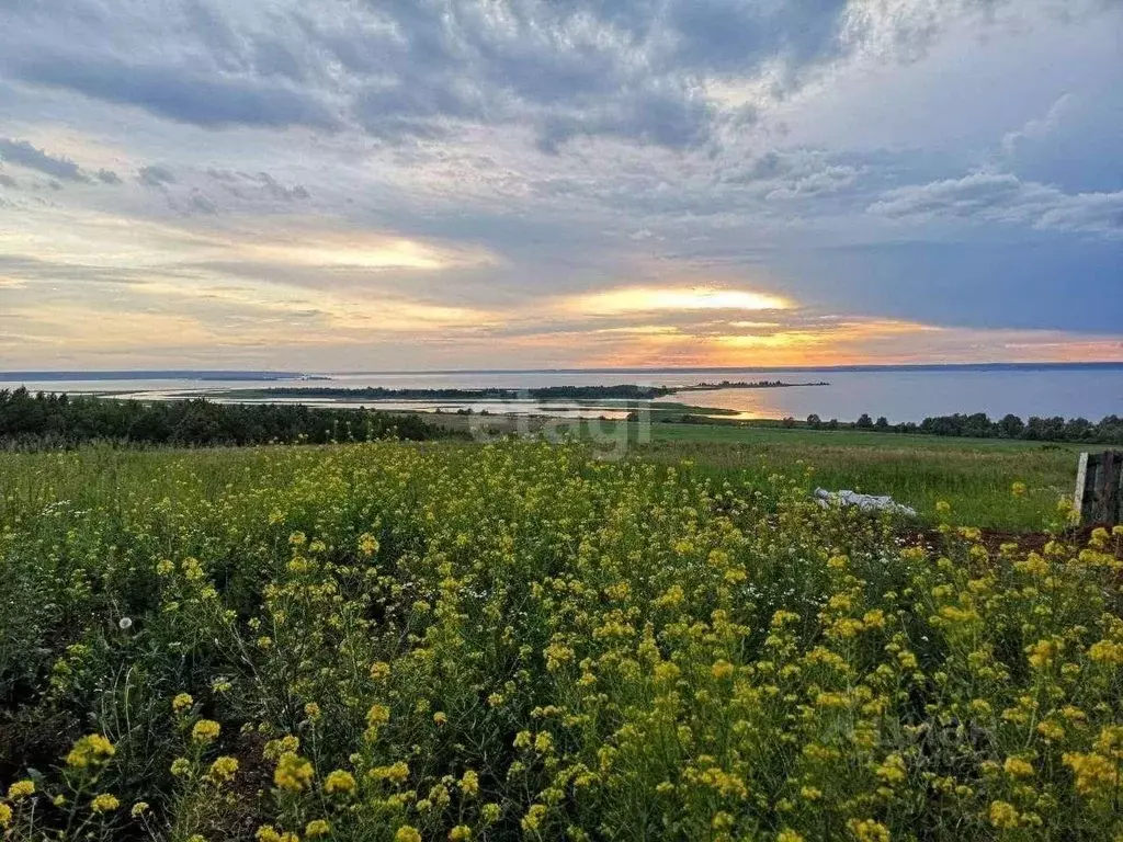 Участок в Татарстан, Тукаевский район, Биюрганское с/пос, д. Кулушево  ... - Фото 0