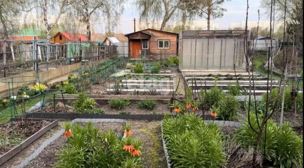 Дом в Новосибирская область, Новосибирск Инструментальщик ... - Фото 1