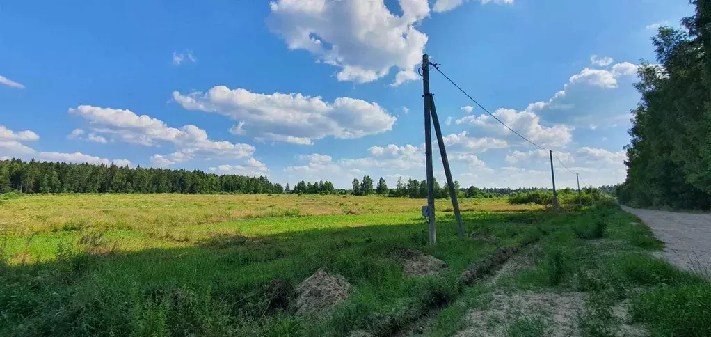 Участок в Московская область, Щелково городской округ, Лесной кв-л ул. ... - Фото 1