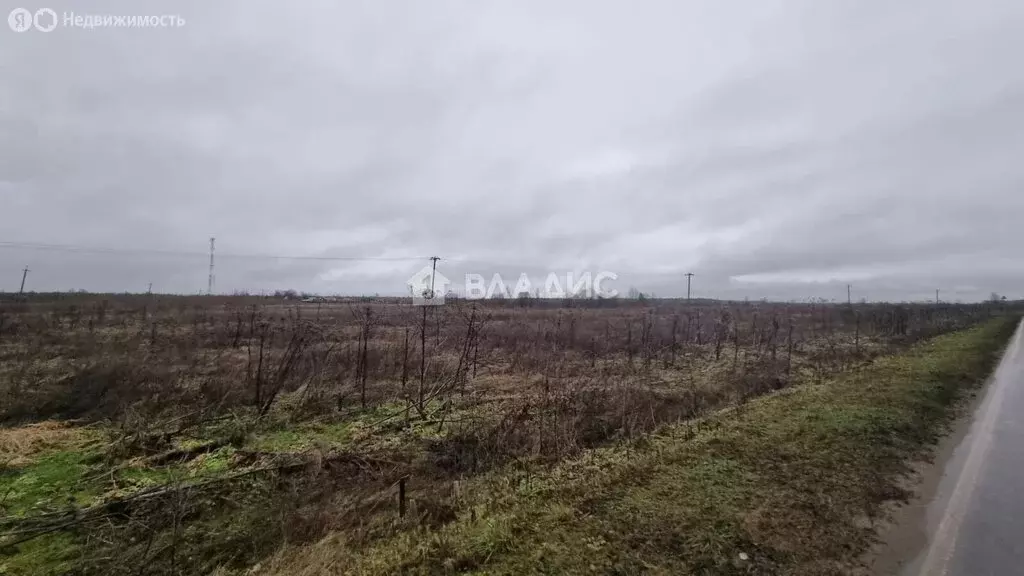 Участок в Большелуцкое сельское поселение, деревня Свейск (12370 м) - Фото 0