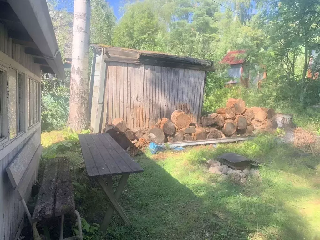 Участок в Ленинградская область, Выборг ш. Балашовское (6.0 сот.) - Фото 2