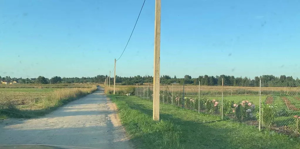Участок в Псковская область, Печорский муниципальный округ, Лесицкое ... - Фото 2