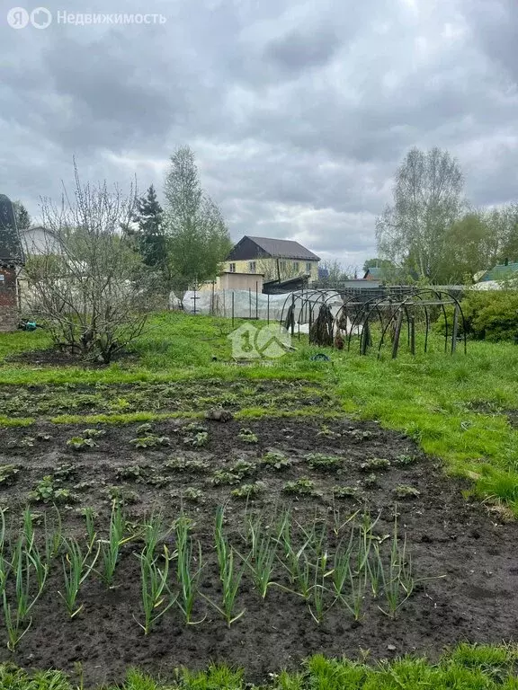 Участок в Новосибирск, СНТ Учитель (8 м) - Фото 1