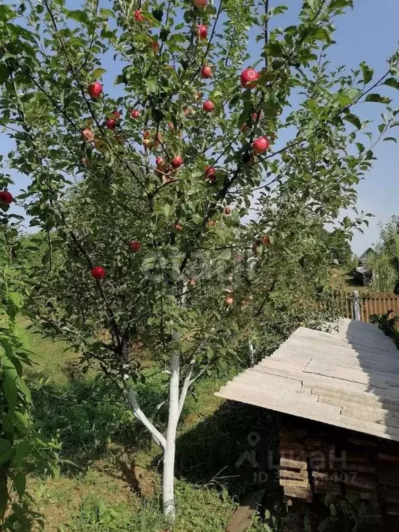 Дом в Псковская область, Невельский муниципальный округ, д. Рудня  (47 ... - Фото 2