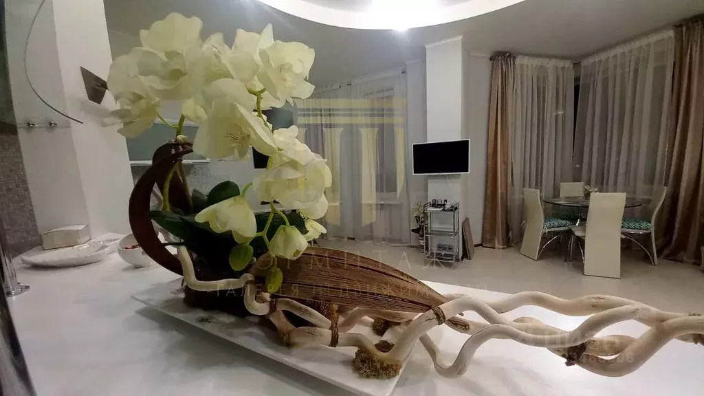 Студия Санкт-Петербург, Санкт-Петербург, Сестрорецк Дубковское ш., 9 ... - Фото 1