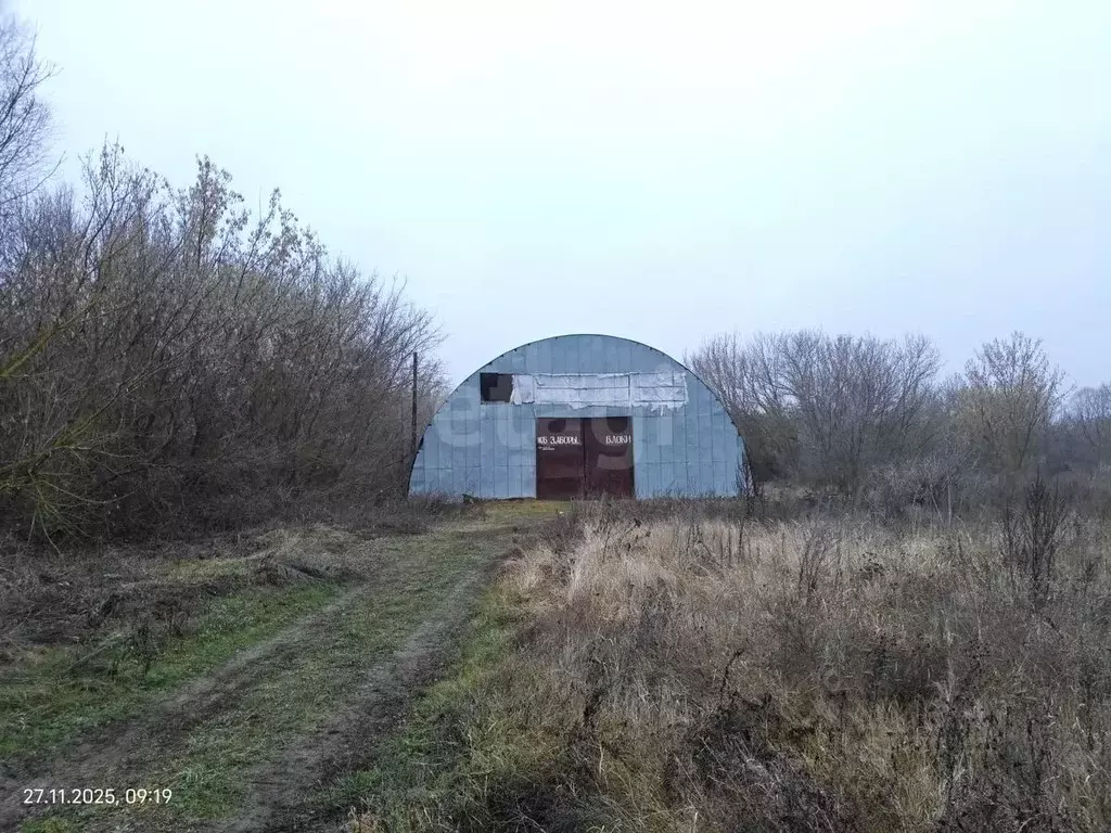 Склад в Воронежская область, Грибановский район, с. Верхний Карачан ... - Фото 1