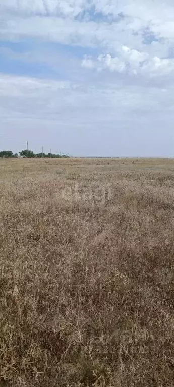 Участок в Крым, Сакский район, с. Штормовое ул. Виноградная (6.0 сот.) - Фото 1