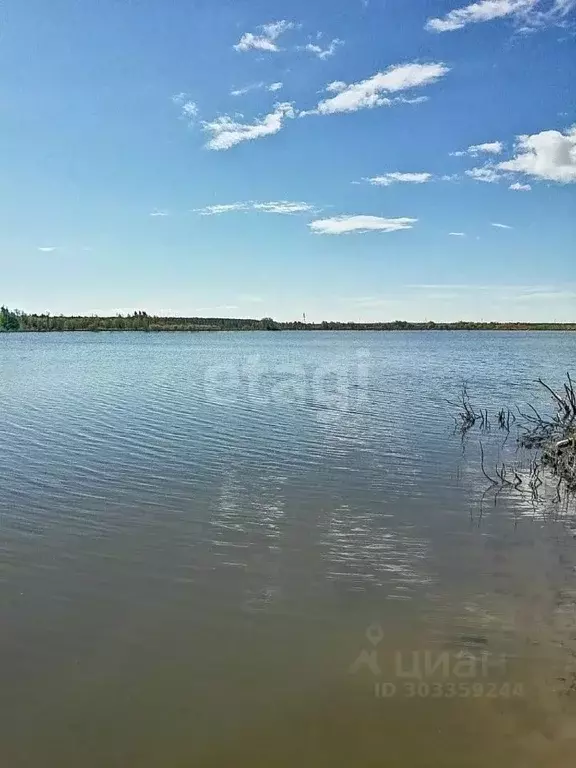 Участок в Ярославская область, Некрасовский район, Красный Профинтерн ... - Фото 0