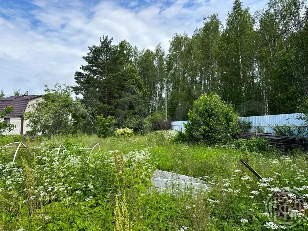 Участок 6 сот. (СНТ, ДНП) - Фото 1