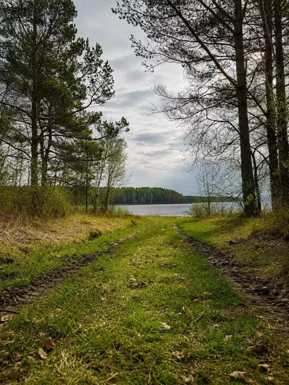 Участок в Иркутская область, Иркутский муниципальный округ, пос. ... - Фото 2
