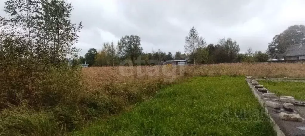 Участок в Костромская область, Судиславский район, Расловское с/пос, ... - Фото 2