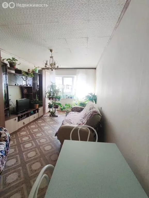 Квартира-студия: Иркутск, Пограничный переулок, 1Б (23.5 м) - Фото 1