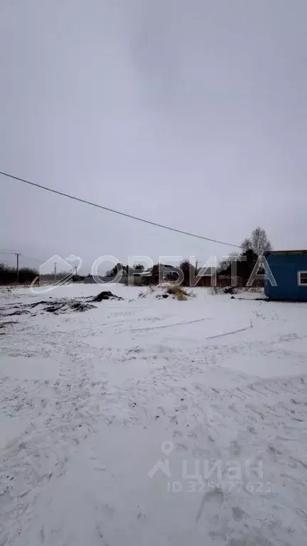 Участок в Тюменская область, Тюменский муниципальный округ, Речник ... - Фото 2