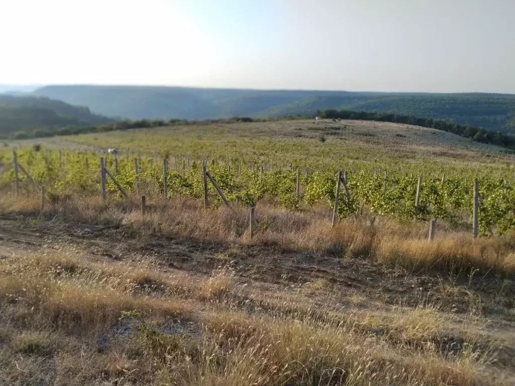 Участок в Севастополь с. Верхнесадовое, ул. Севастопольская (3.5 сот.) - Фото 1