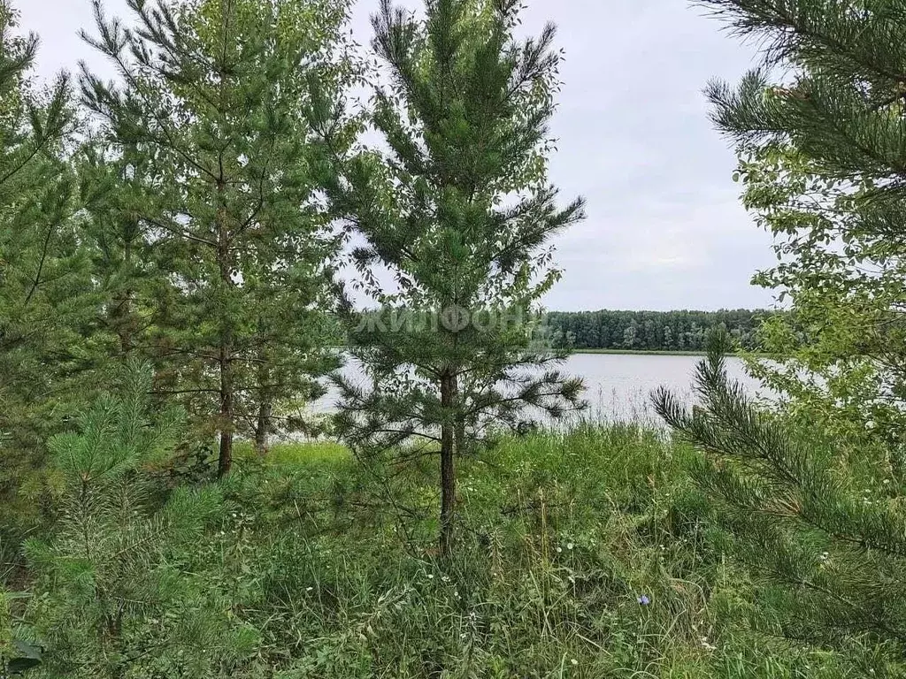 Дом в Новосибирская область, Ордынский район, д. Милованово Береговая ... - Фото 0