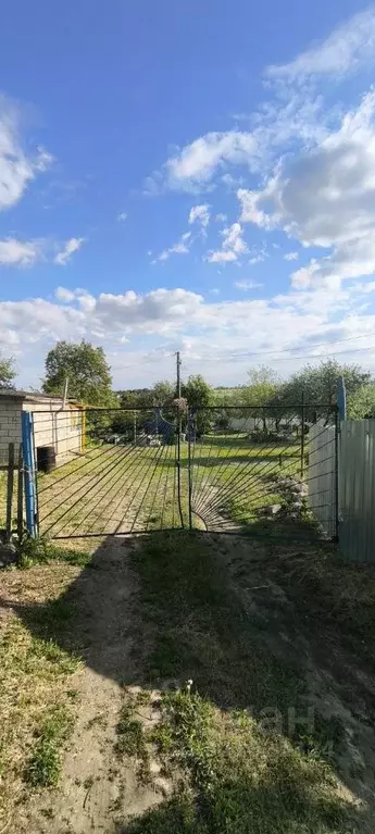 Участок в Саратовская область, д. Трещиха ул. Нагорная (11.0 сот.) - Фото 1