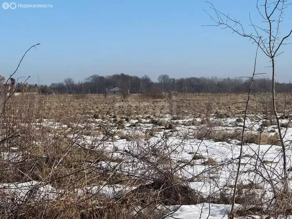 Участок в Калининградская область, Гурьевский муниципальный округ, ... - Фото 1