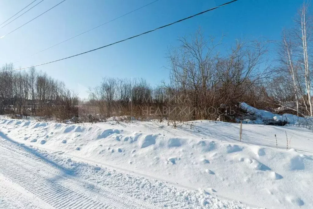 Участок в Тюменская область, Нижнетавдинский муниципальный округ, ... - Фото 2