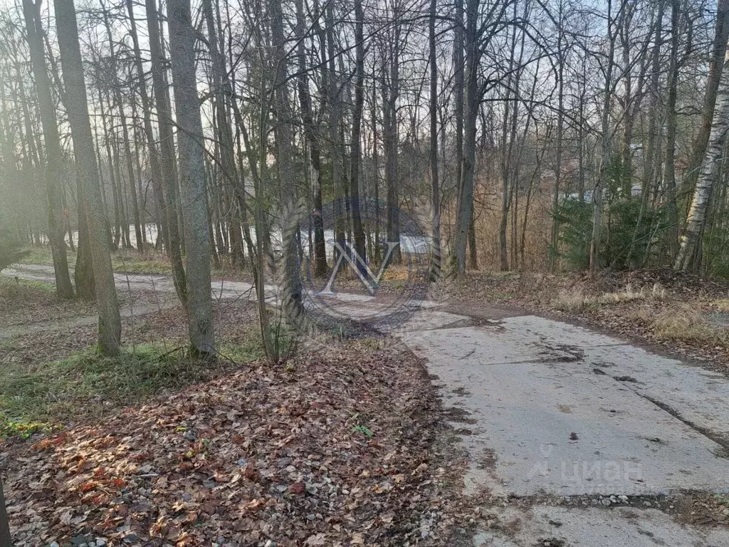 Участок в Московская область, Пушкинский городской округ, д. ... - Фото 2