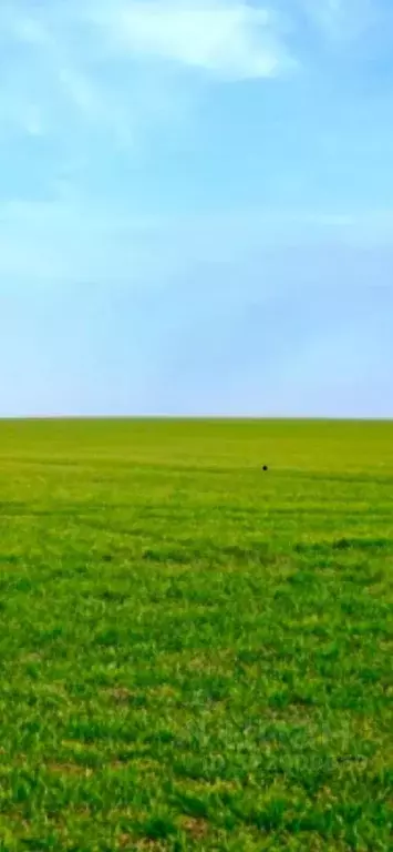Участок в Калининградская область, Гурьевский муниципальный округ, ... - Фото 0