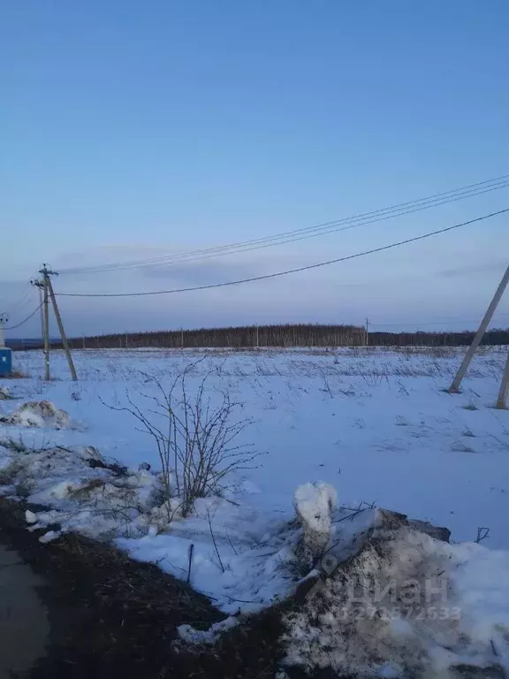 Участок в Нижегородская область, Кстовский муниципальный округ, с. ... - Фото 1