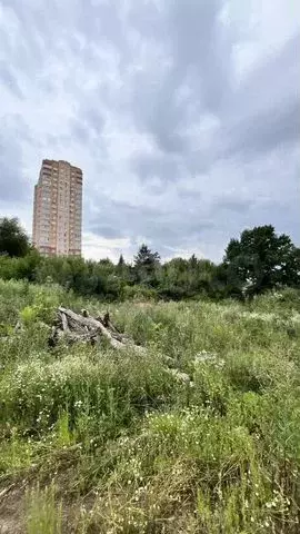 Участок 11,1 сот. (ИЖС) - Фото 0