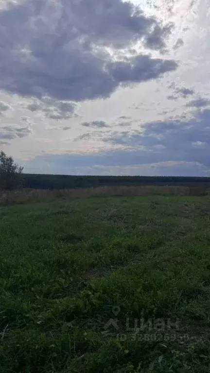 Участок в Марий Эл, Морки городское поселение, д. Балдырка ул. ... - Фото 2