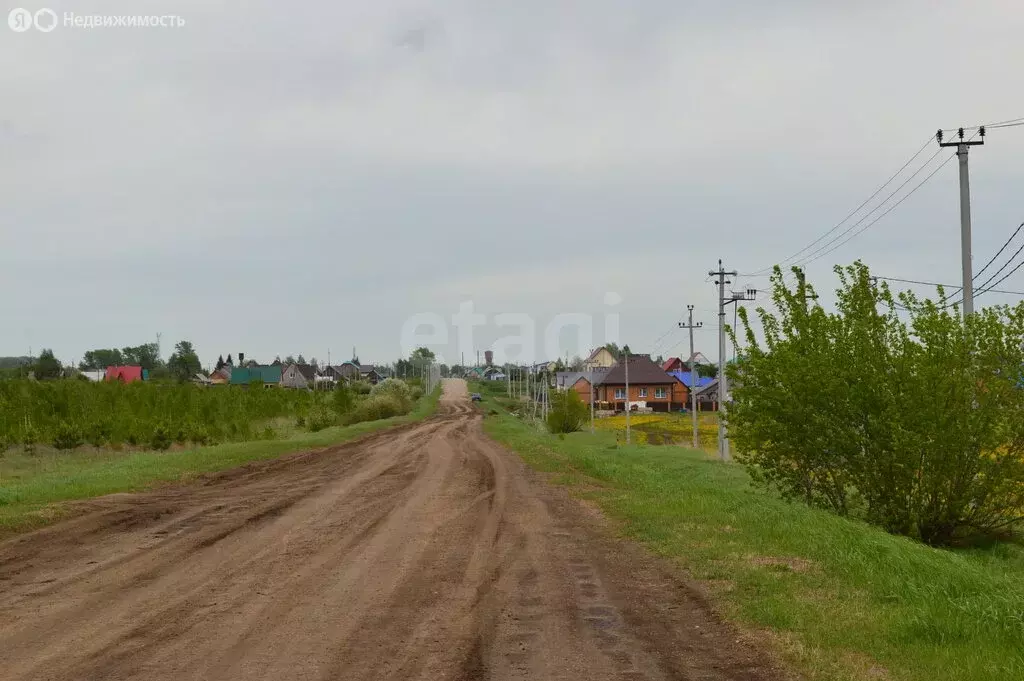 Участок в Колыванский район, СНТ Большая Семья (10 м) - Фото 2